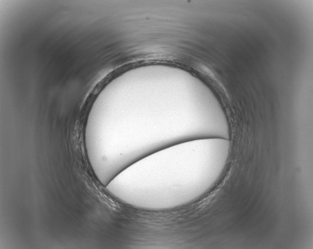 X0000066940875200603240932