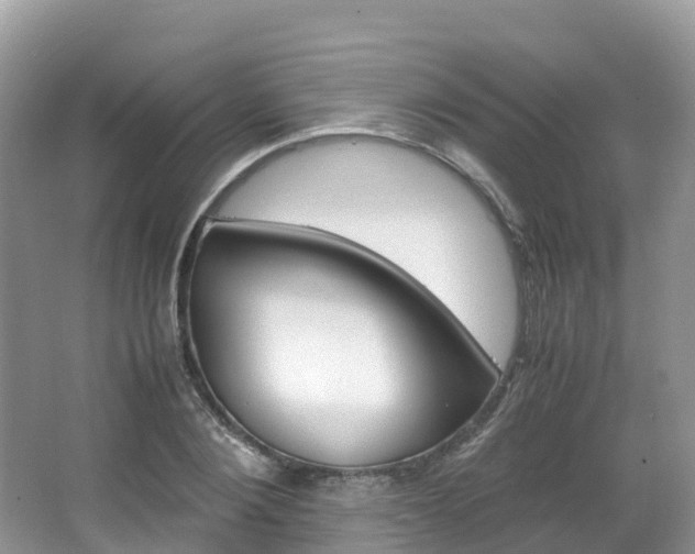 X0000066940884200603240932