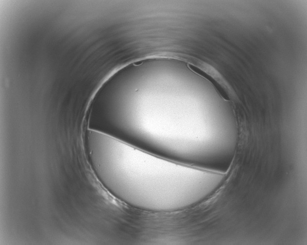 X0000066940908200603240931