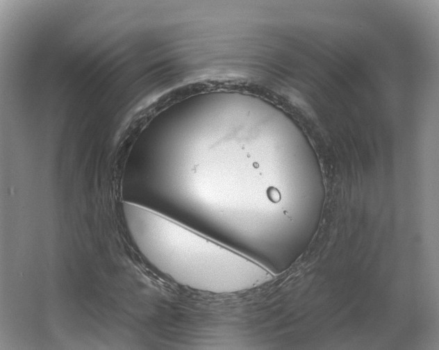 X0000066940920200603240930