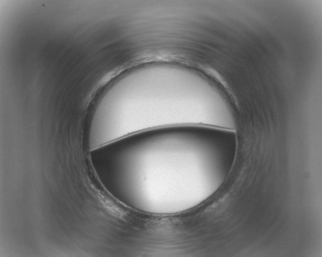 X0000066940922200603240930