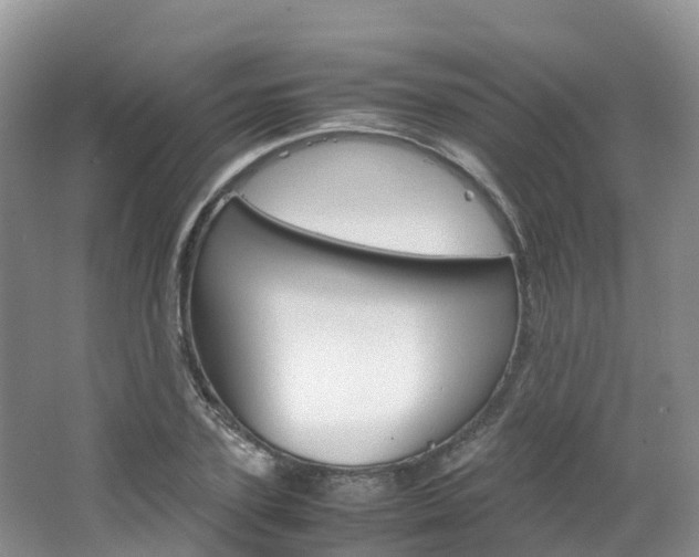 X0000066940931200603240931
