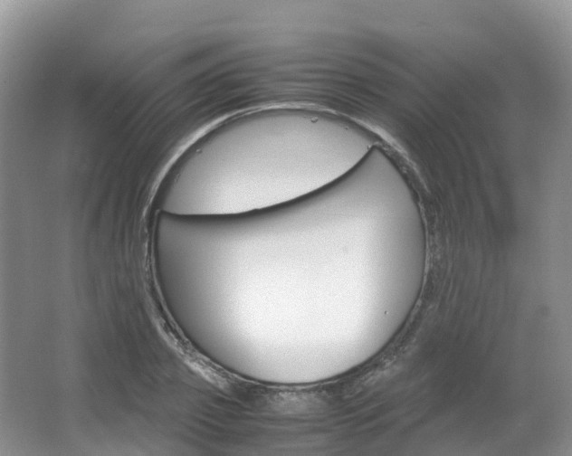 X0000066940933200603240931
