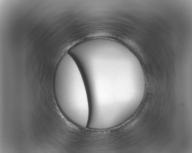 X0000066940937200603240931