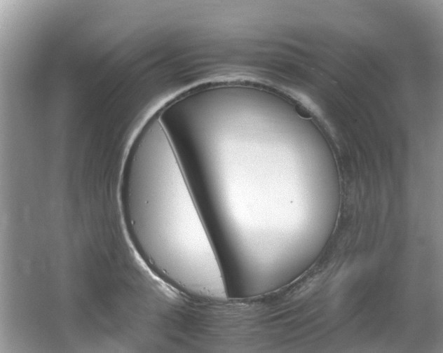 X0000066940943200603240931