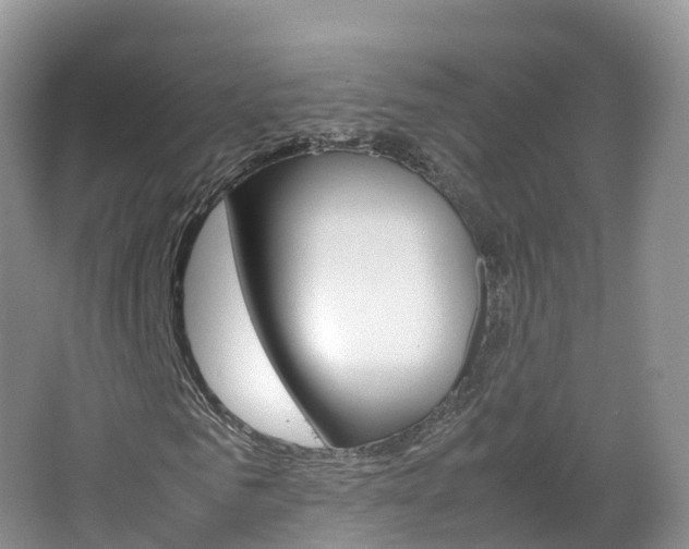 X0000066940961200603240930