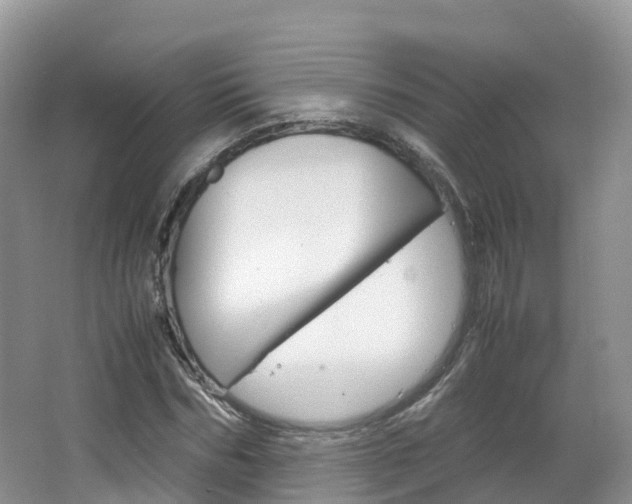 X0000066940970200603240930