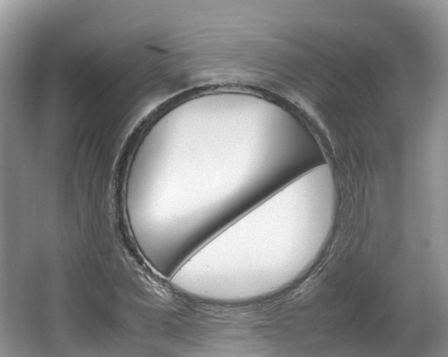 X0000066940975200603240930