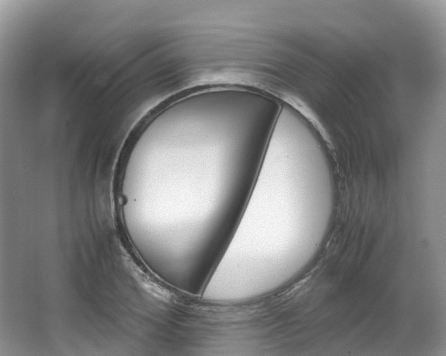 X0000066940980200603240930