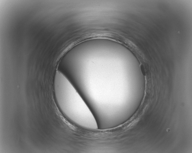 X0000066940985200603240930