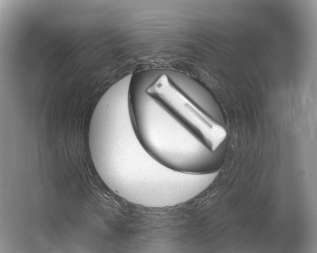 X0000066941010200603240929