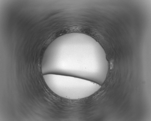 X0000066941011200603240929