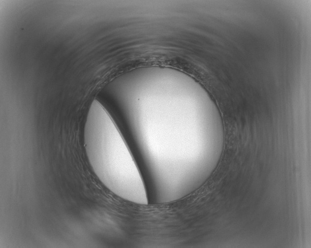 X0000066941013200603240929