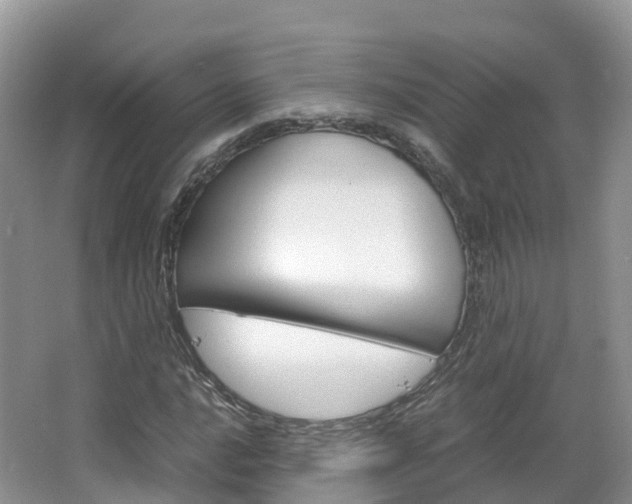 X0000066941016200603240929