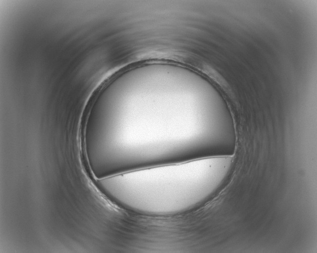 X0000066941028200603240929