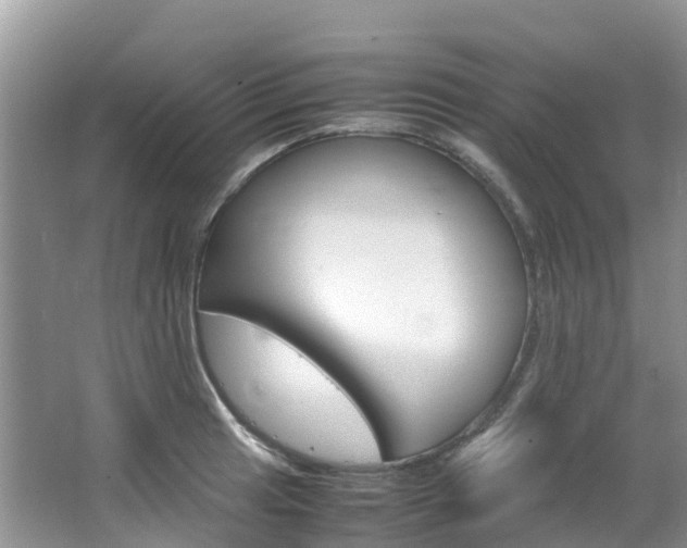 X0000066941041200603240929