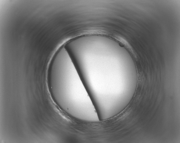 X0000066941043200603240929