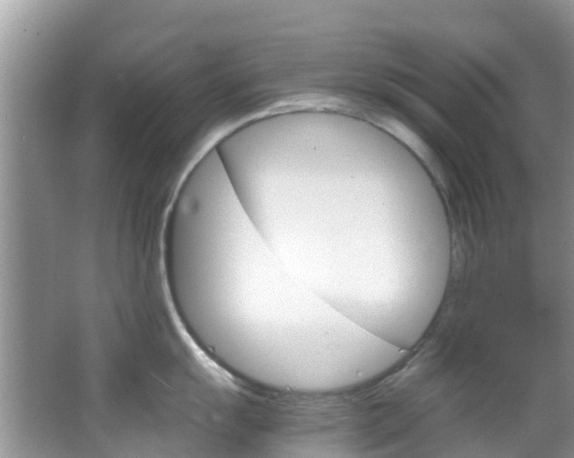 X0000066941055200603240929