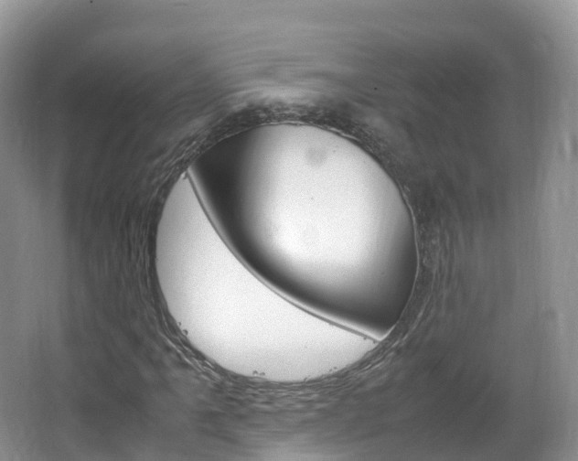 X0000066941061200603240929