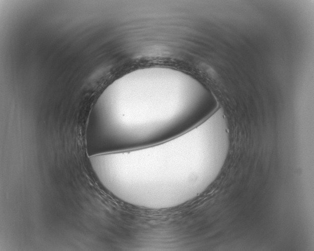 X0000066941062200603240929