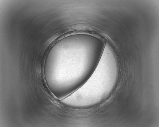 X0000066941065200603240929