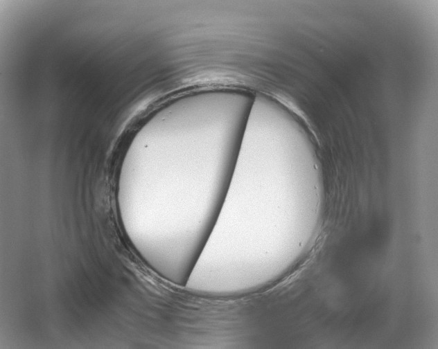 X0000066941067200603240929