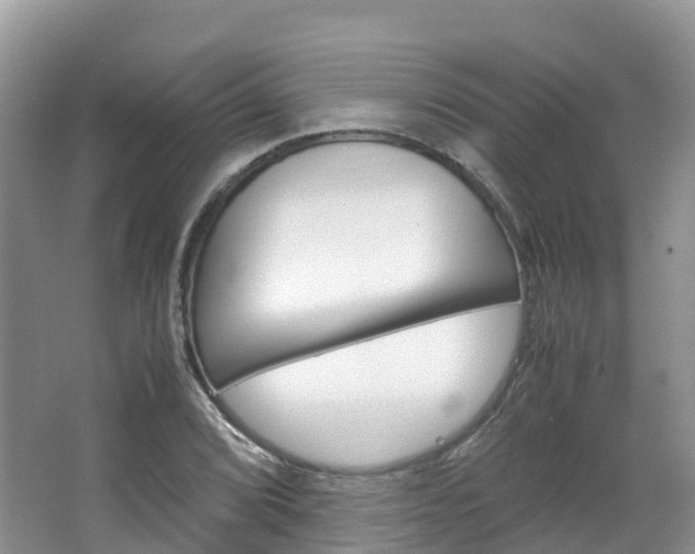 X0000066941072200603240928