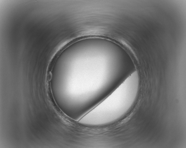 X0000066941077200603240928