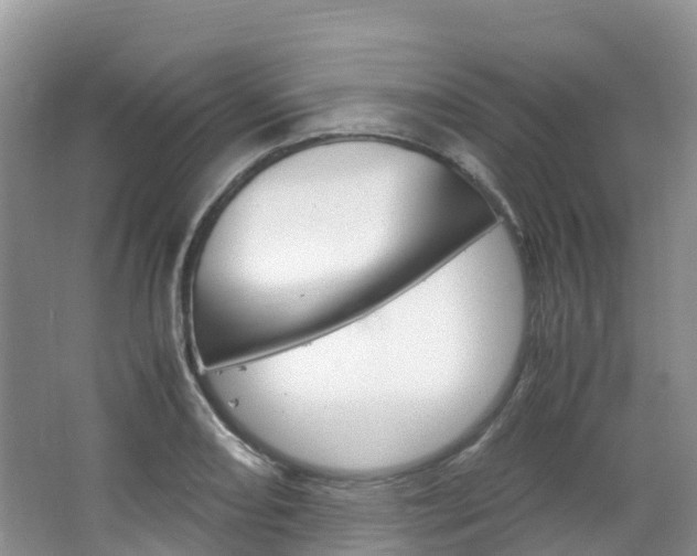 X0000066941082200603240928