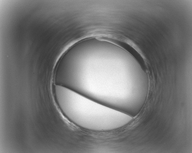 X0000066941101200603240928