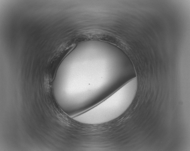 X0000066941108200603240927
