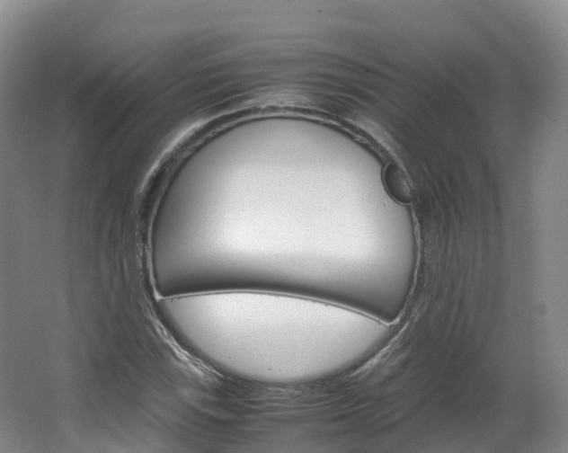 X0000066941115200603240927