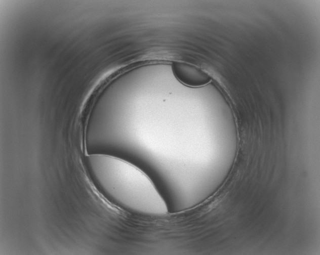 X0000066941123200603240927