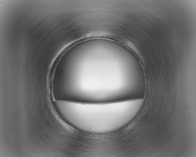 X0000066941124200603240927