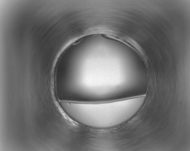 X0000066941144200603240928