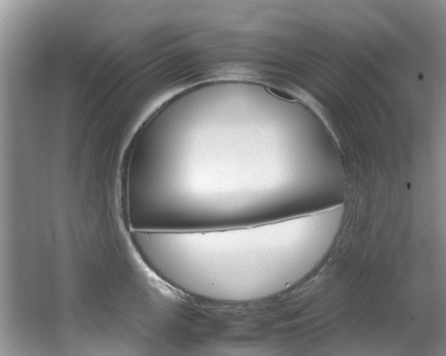 X0000066941147200603240928