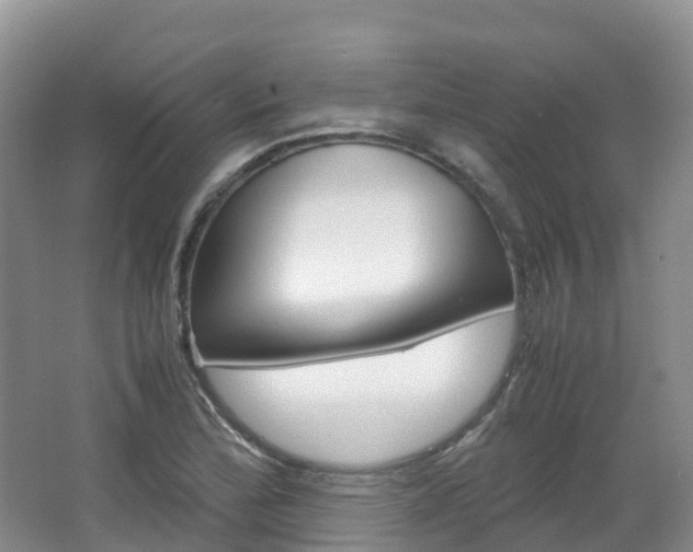 X0000066941172200603240927