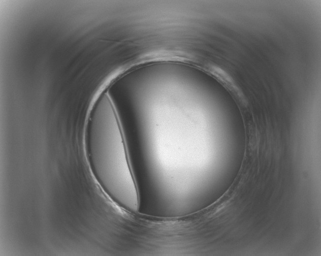 X0000066941188200603240926