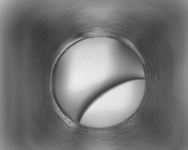 X0000066941195200603240926