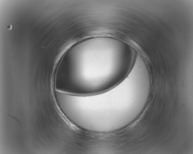 X0000066941196200603240926