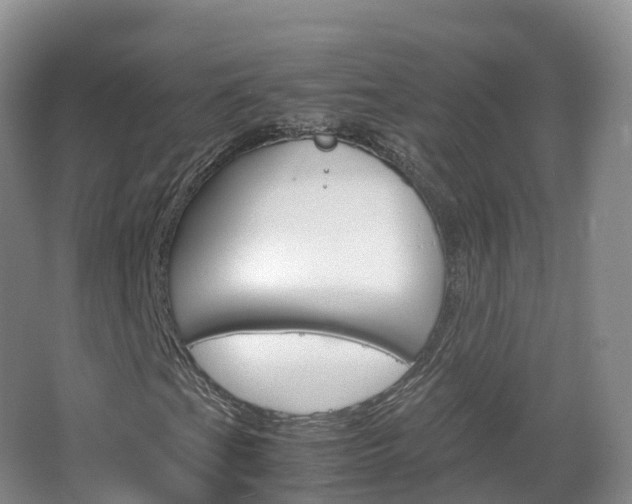 X0000066941201200603240925
