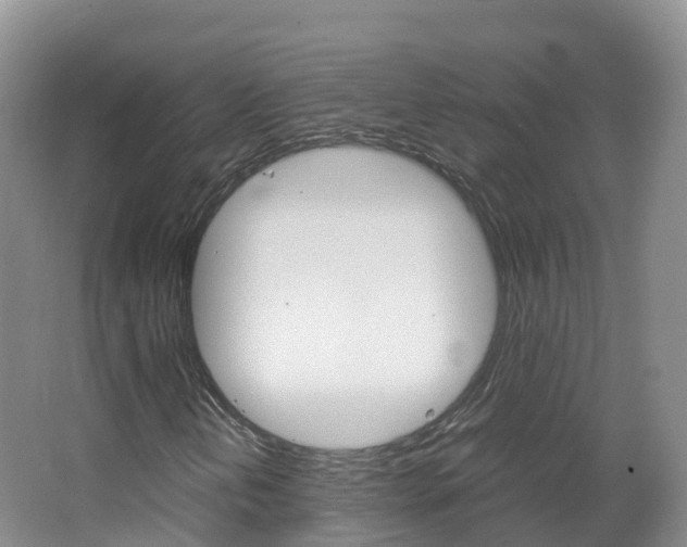 X0000066941202200603240925
