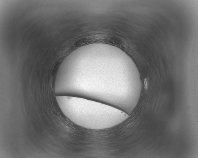 X0000066941203200603240926
