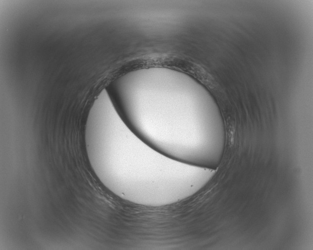 X0000066941204200603240926