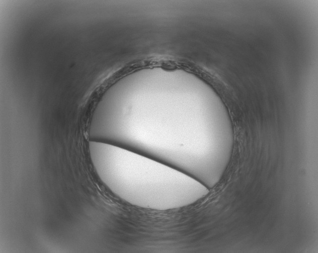 X0000066941207200603240926