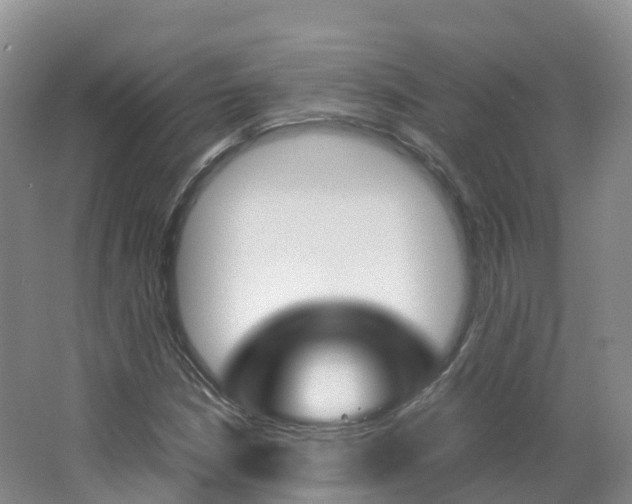 X0000066941210200603240926