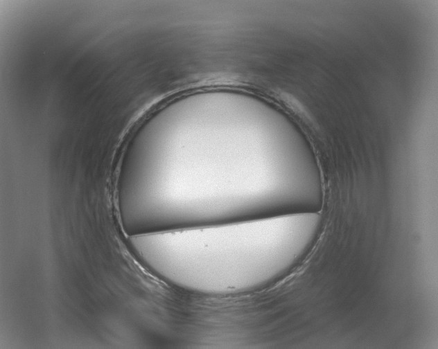 X0000066941212200603240926