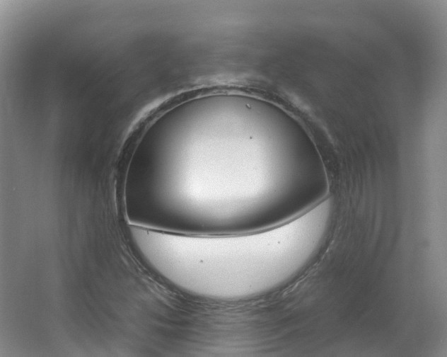 X0000066941214200603240926