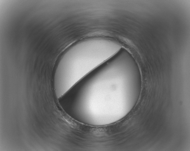 X0000066941217200603240926