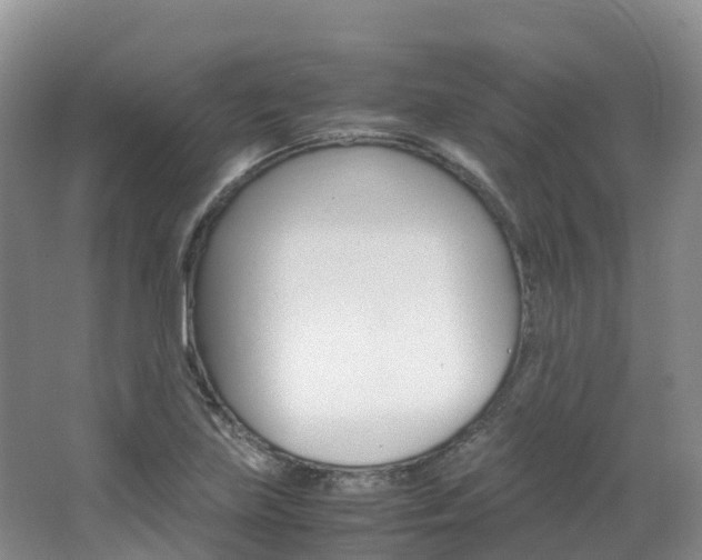 X0000066941219200603240926